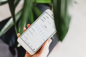 instagram analytics on an iphone with a plant